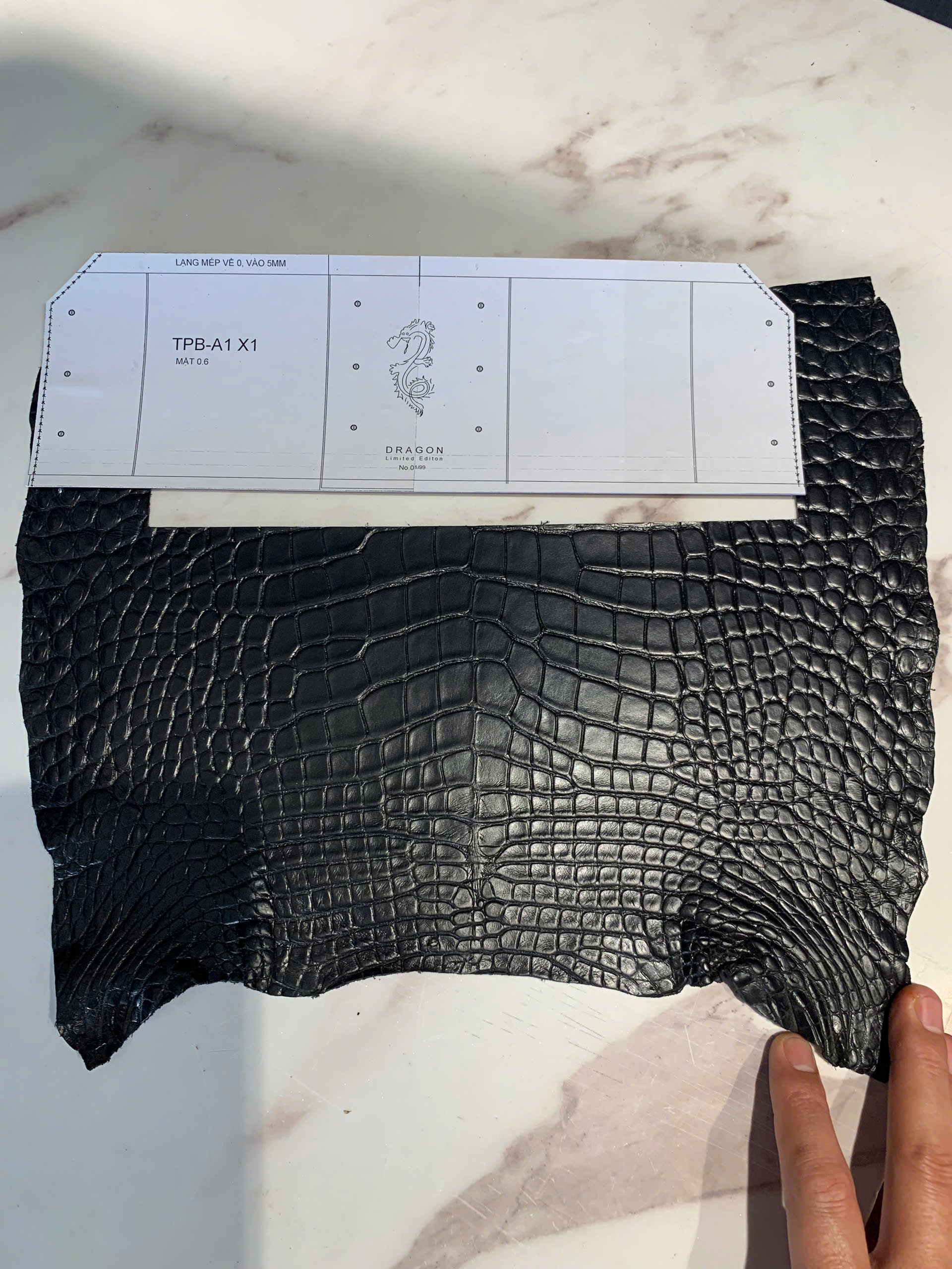 TP Pen Box Silver Dragon Edition – Hộp bút da cá sấu Pháp chạm rồng bạc - Hình ảnh 4
